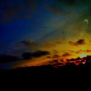 Meet your Posher, Mattie